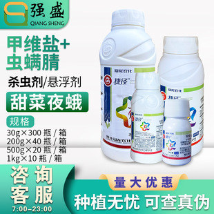 �����ݏ� 12%�׾S�}&middot;�x�\�� ���{���ҹ�ꚢ�x���Ҹ����rș���]