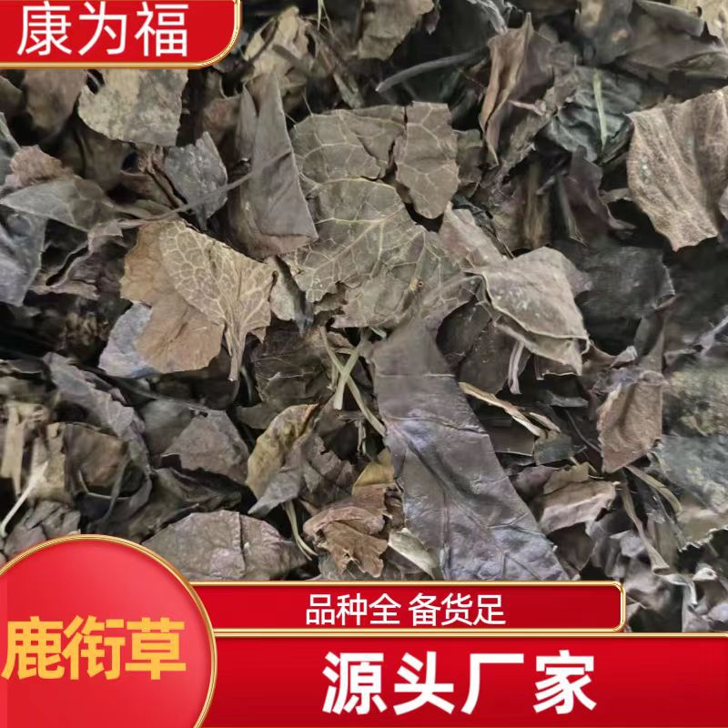 Lu Xian Cao (Pyrola calliantha) — Dried Deer-Hoof Herb, Food Herb for Tea & Soup key features