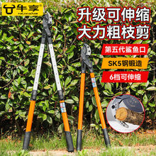 新款重型大力剪果树高枝剪修枝剪子枝剪齿轮伸缩大剪刀园林跨境