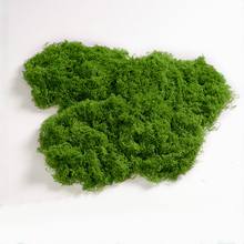 ̦\쾰̦ëƤGֲ΢^ֲb쾰