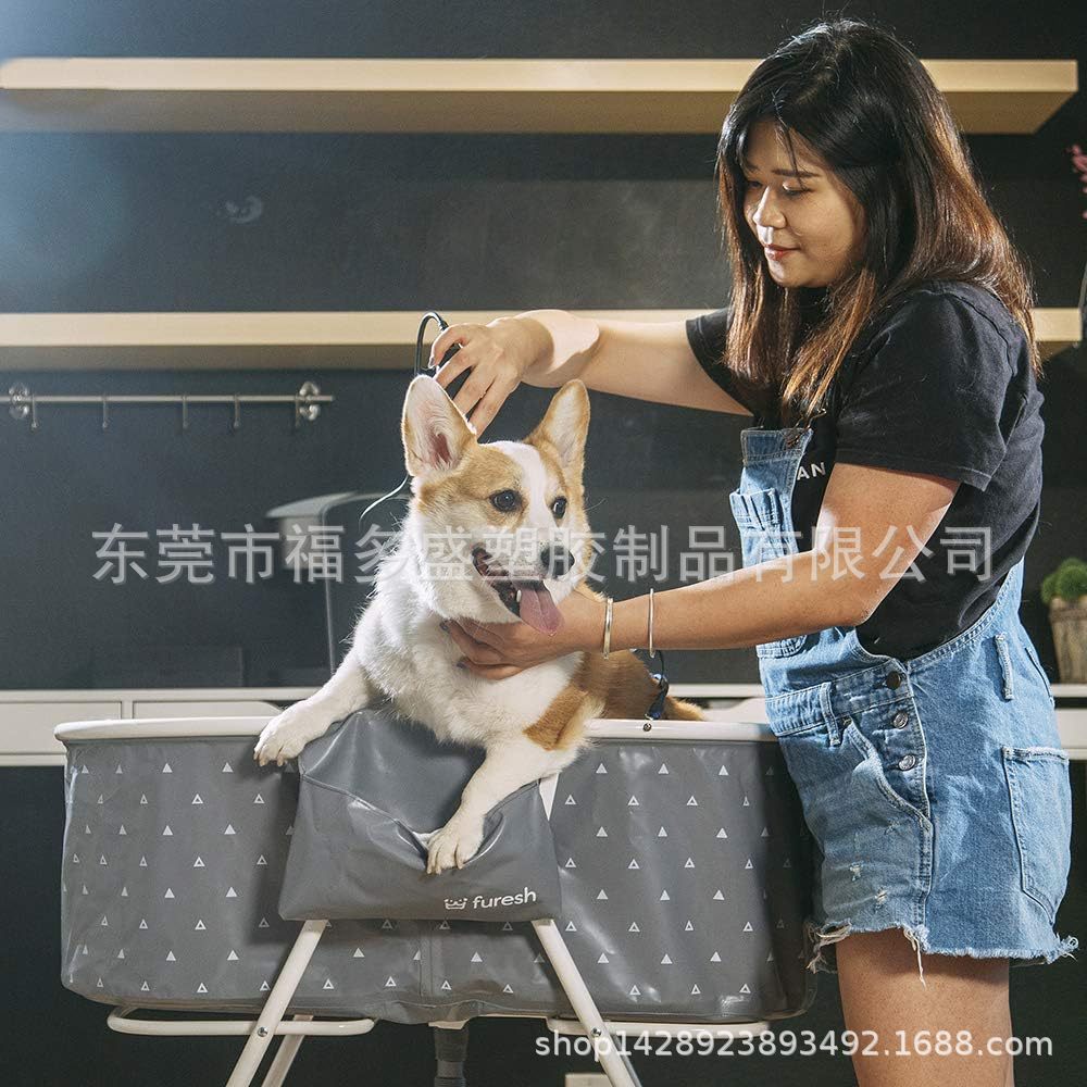 71FglA5L8tL._AC_SL1000_.jpg
