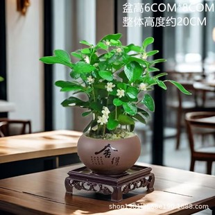 ������������������� �ļ��_������ ֲ���҃���ͥԺ�̨��û���