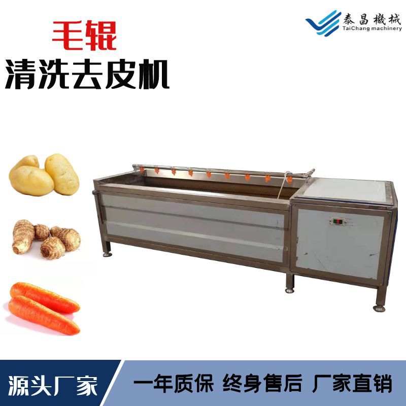 樱桃萝卜土豆毛辊清洗机根茎类果蔬清洗流水线红薯大姜毛刷清洗机