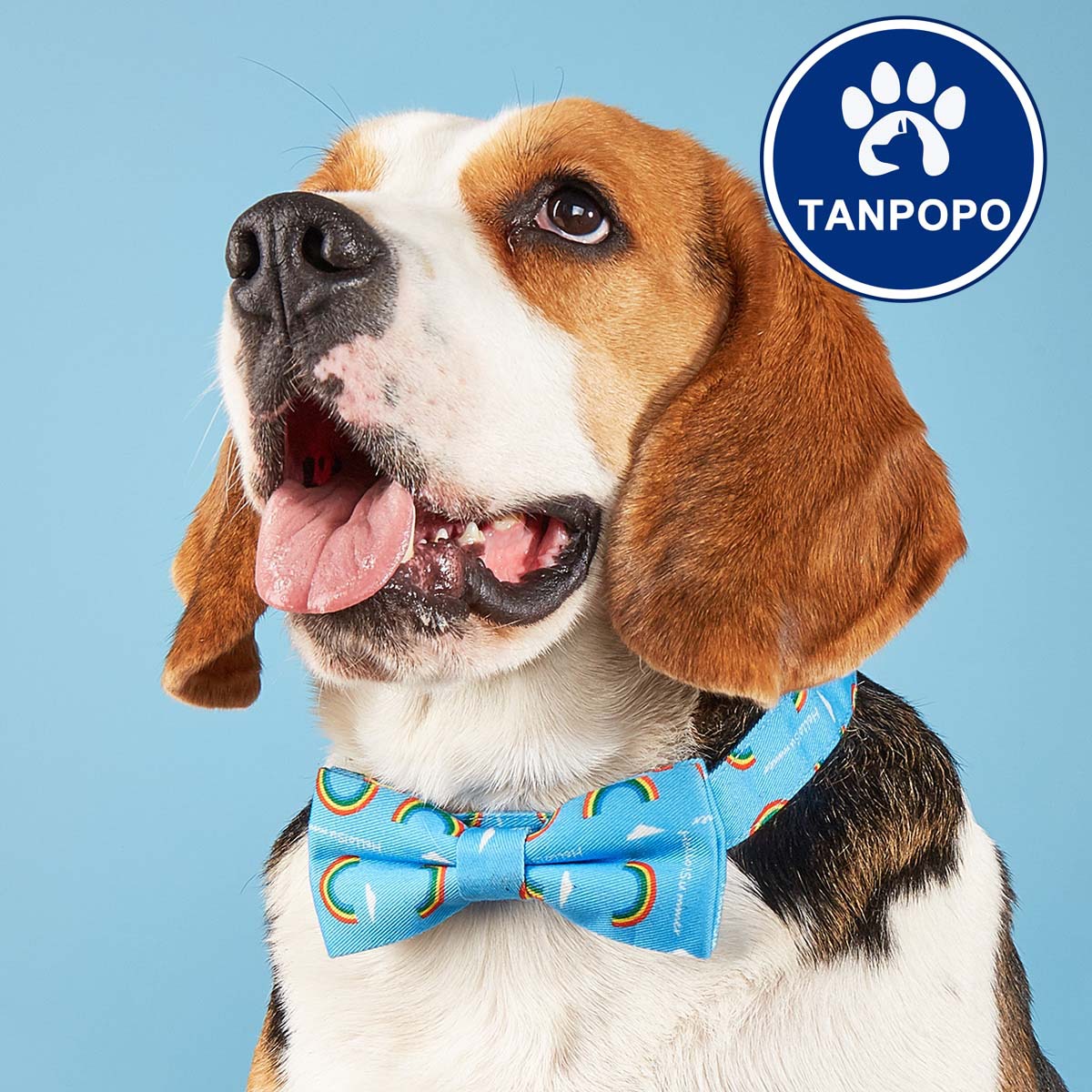 Original spot nuevo festival arco iris transfronterizo perro collar de aleación perro arco iris