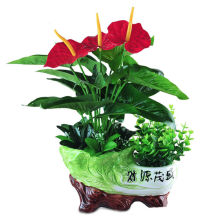 �t�Ʒ���ֲ��ٻ����b�Gֲ���ܼҾ��b�Ʒ���ϻ��͏d�[����ˇ�辰