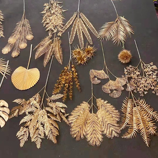 ɫ滨y~ȼ~Ӽٻɏt˹~~b