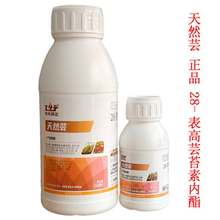 ���������Ȼܿ28-����̦ܿ�؃����r��ֲ�����L�{�����rș��Ʒ