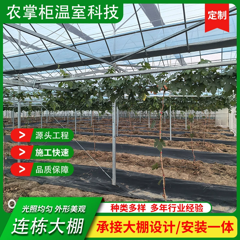 Сельскохозяйственная теплица для выращивания овощей с многосекционной пленкой, интегрированная теплица с каркасом из горячеоцинкованной стали