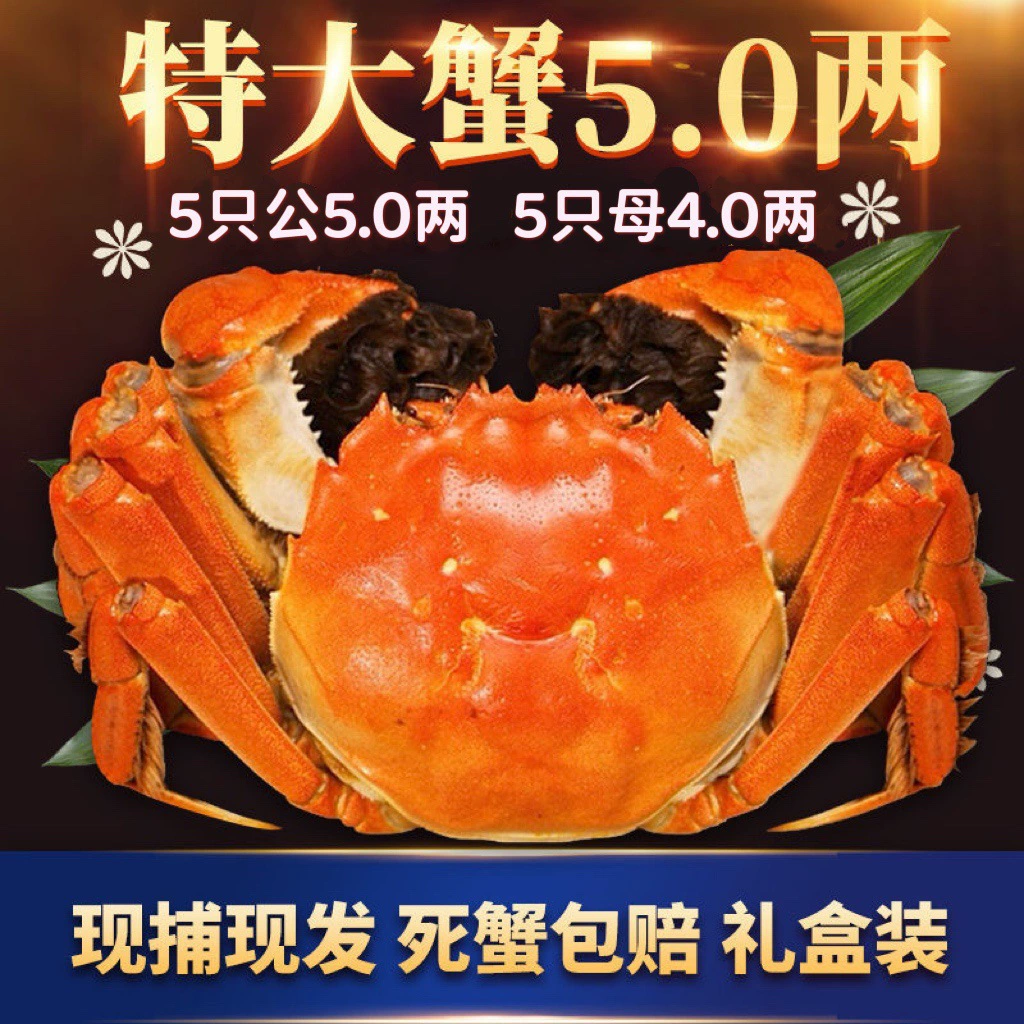 Желтые пятно волосатые крабы свежие