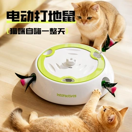 狗狗服装;狗狗玩具;狗狗窝/笼/垫
