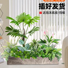 ���ٻ��[�O�̨���ږřڑ��⻨�仨�M�ϼپGֲ�쾰�b�