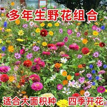 ҰMϷNļN_ݻ׻˹հղݻ