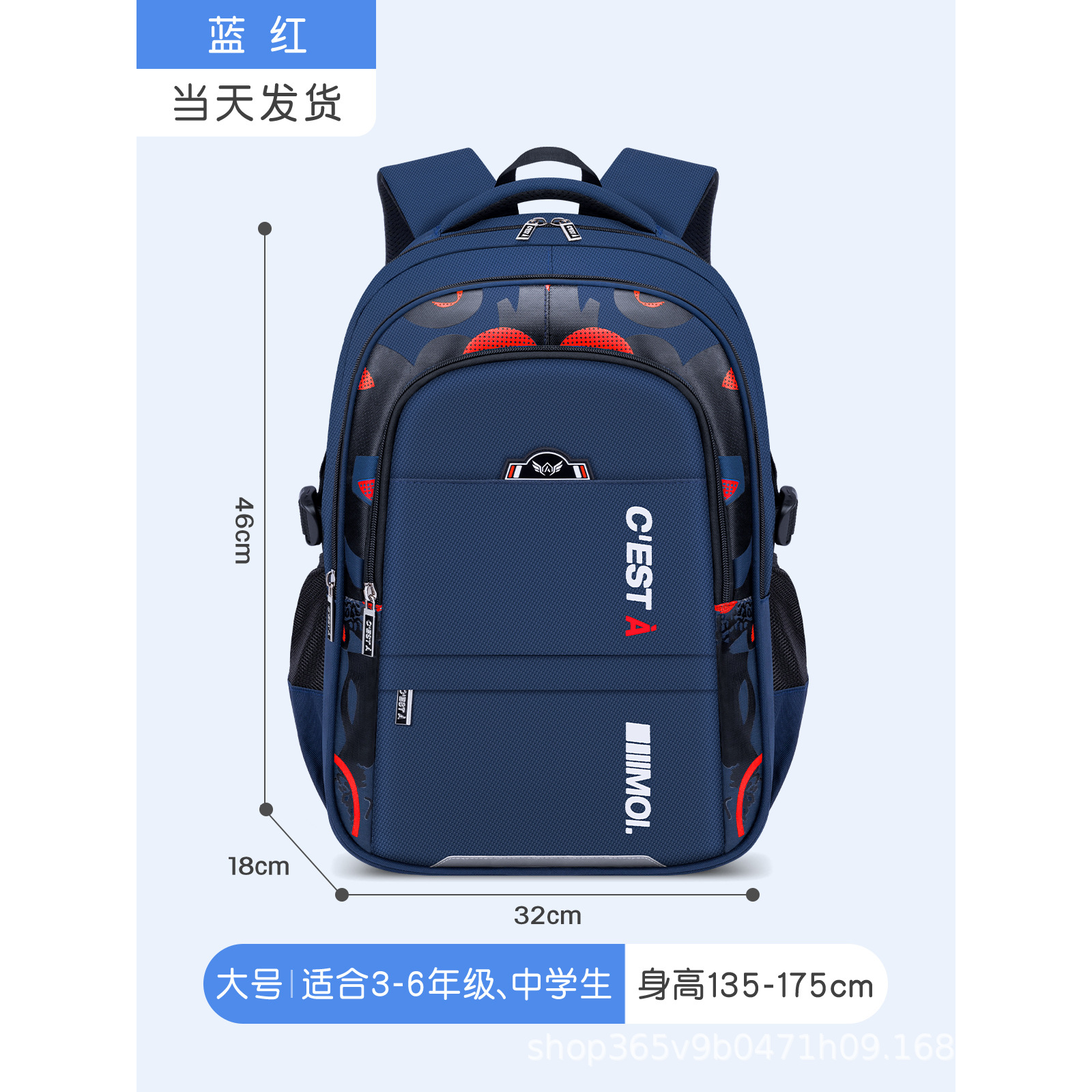 블루 레드 대형