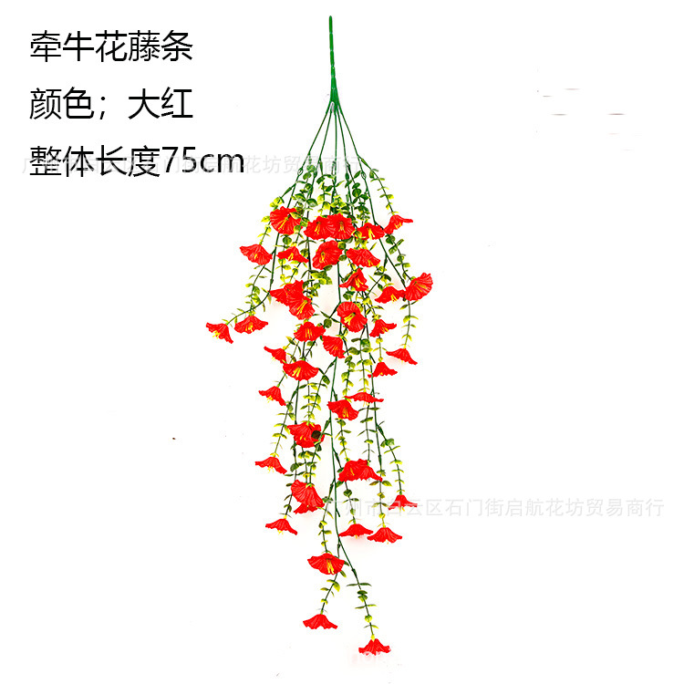 [빅 레드 + 나팔꽃 등나무]