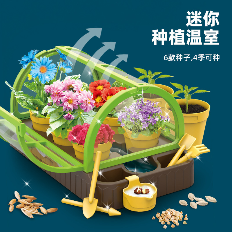 Children's Sunshine flower room planting room mini planting bar creative plant handmade DIY seed observation box Children's Sunshine flower room planting room mini planting bar creative plant handmade DIY seed observation box