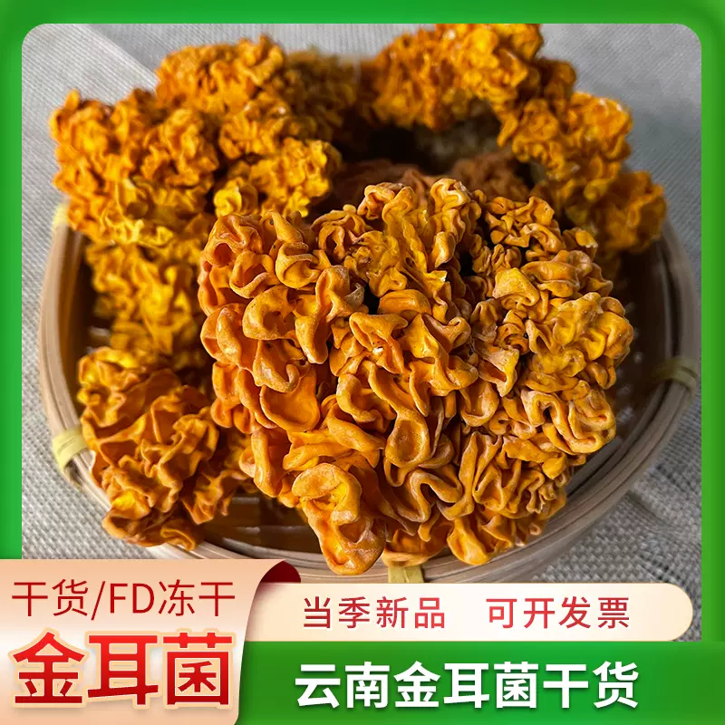 椴木金耳云南特产深山金耳菌黄耳黄木耳菌黄金耳菌菇冻干金耳干货
