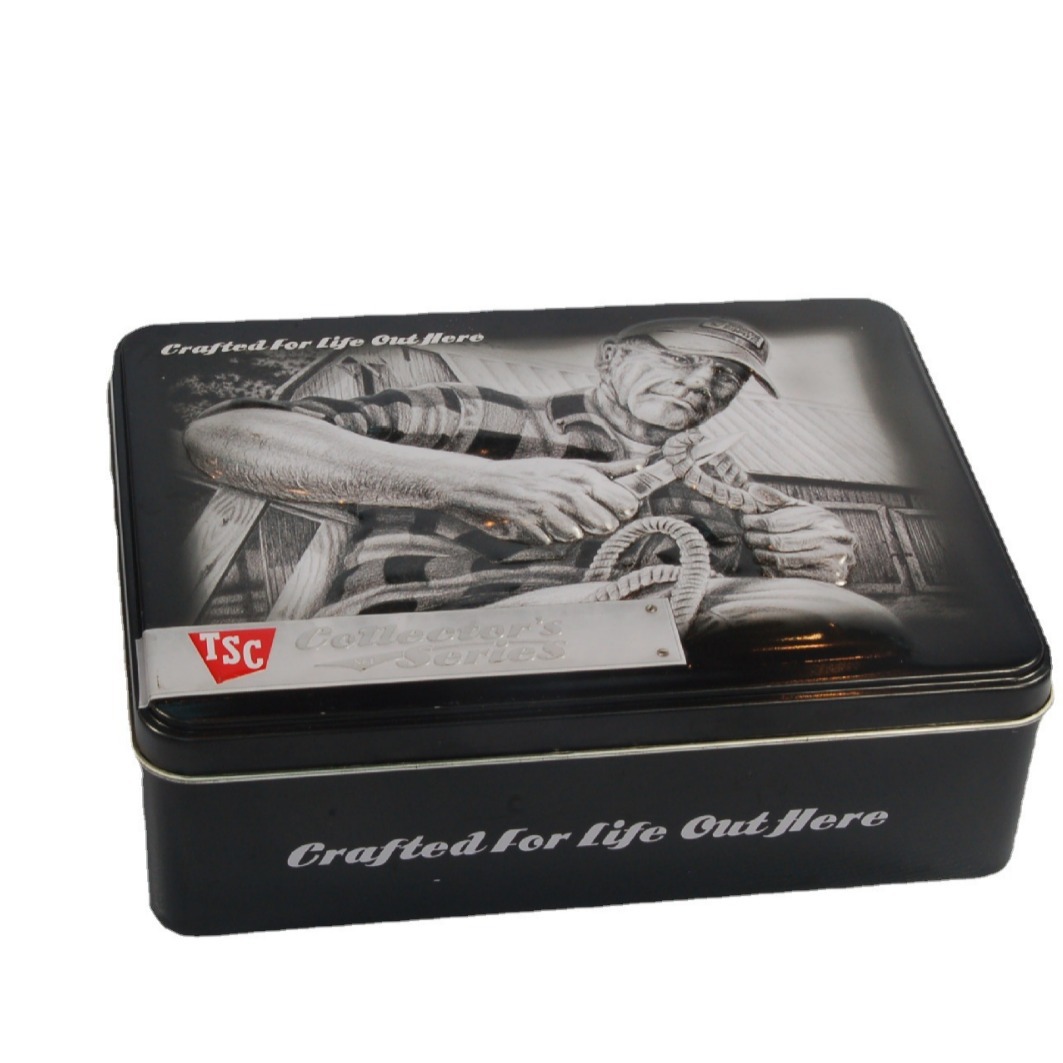 食品饼干糖果卡通包装盒 马口铁刀具物品收纳工桌面收纳盒  家居