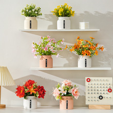 �Wʽ���滨�ٻ��M�����մ����ԼҾӿ͏d�����b���ֲ������[��