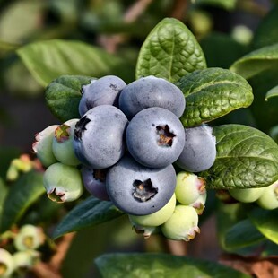 �����{ݮ�r��18+mm�����{ݮ���rˮ���߶��r��Դ�^�a�����l