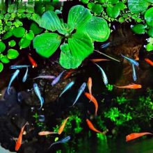 �^�����F�~����� ���F�~�������^�p�~ С���\��С�~�����B���B�~