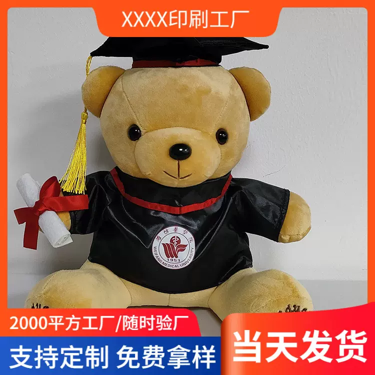 外贸毕业熊博士帽泰迪熊毛绒公仔毕业季纪念礼品儿童玩具礼物现货