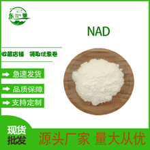 NAD βʶ   53-84-9 Ҏ