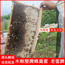 �����䳲���ϳ�Ƣ��ɽ�����ۺ�ɫ�ϳ���Ұɽ���۷���ų���ر��r