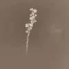 Quick Gift◇Plum Blossom