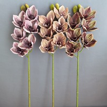 ������z��6�^ޥ�m�����m�m�� �p���L�ҾӘӰ��g�Ƶ��c�bzӰ