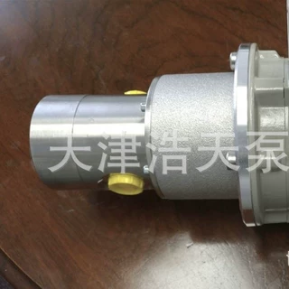 磁力齿轮泵TDCC 甲醇 乙醇 酒精 海水 清水 汽油 柴油 机油齿轮泵