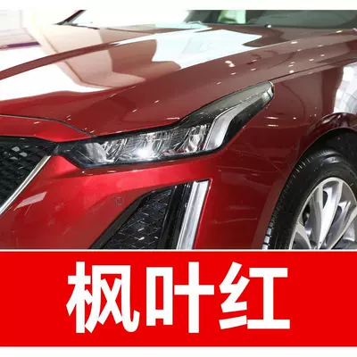 a car touch-up tool for, Avtomobil boya qələmləri - buy-one-get-two-1-coat-of-color-paint-1-coat-of-brightening-polish-plus-a-free-tool-kit-cleaning-cotton-and-brush-tips-maple-leaf-red