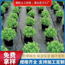 农用无纺布防草布钉抑草布园艺地布盖草黑色果树果园大棚透气保湿