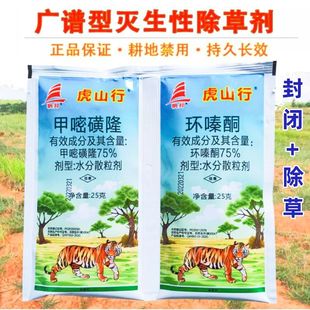 ��ɽ�� �h�ͪ�L�~���׻�ʔ�������Ӡ����ĵ��F·�ݼ��׻�¡��ș