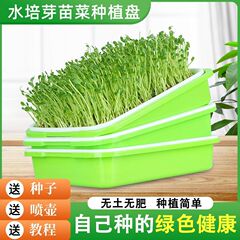 もやし苗トレイ植栽ラックもやし発芽ポット多層無土壌栽培ボックスエンドウ豆水耕野菜家庭用