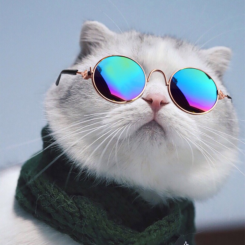 Fabricantes al por mayor perros gatos gafas de mascota tendencia creativa pequeña gafas de sol juguetes de algodón muñeca fotos gafas de sol