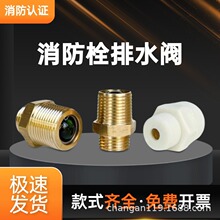 室外消火栓泄压阀排气阀排水阀SS100地上栓泄水阀溢水阀消防栓