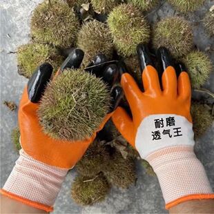 ��ĥ͸������ָ�ӏ��������m͸����z�T�zƬ���z�Ӻ�ɻ�ڱ�����