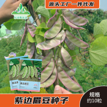 ��߅ü���N�Ӽt߅�G�ⶹ�N���i���䶹����ͥԺ�����＾��ܿ���˷N