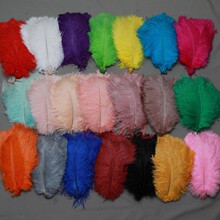 21ɫ�����F؛�r�Bë20-25cm ��c�W�t���b��r�B��ë �Ʒ����