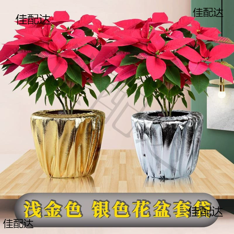 Светло-золотой цветочный горшок сумка