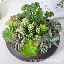 ����ֲ�����M��С�辰�Ҿ��k���������b[�������Ĕz�������l