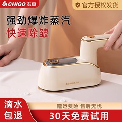 志高の新型手持ち式のアイロン掛け機の大きい蒸気のハイパワーのアイロンの携帯用家庭用の手持ち式のアイロン掛け機は回転します。