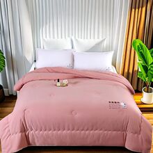 新款A类牛奶立体被加厚保暖冬被芯民宿学生四季棉被礼品被子批发