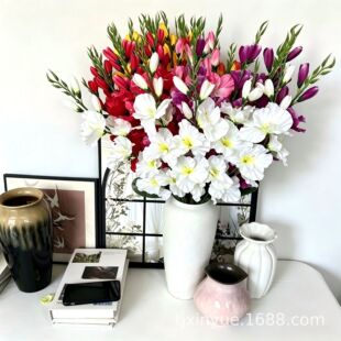 �羳���愦�m��֦�����Ѽٻ���c��Y�üҾ�ܛ�b�����[�����S���l