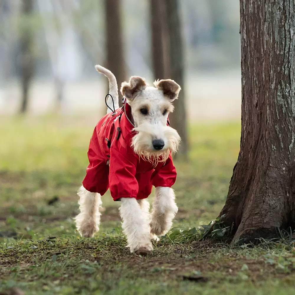 跨境爆款中小型犬四脚雨衣可牵引狗狗防水冲锋衣宠物衣服户外反光
