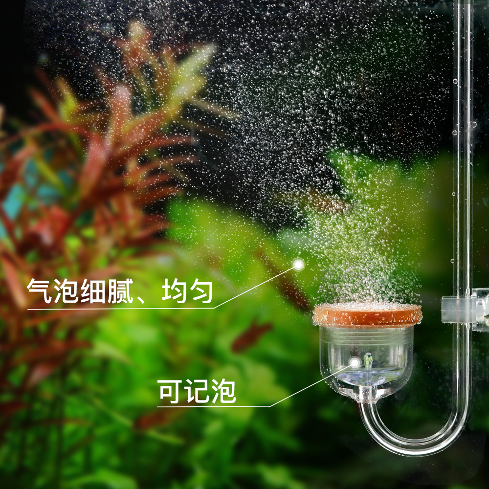 跨境无忧创意新款二氧化碳扩散器水族雾化器水草缸CO2细化器