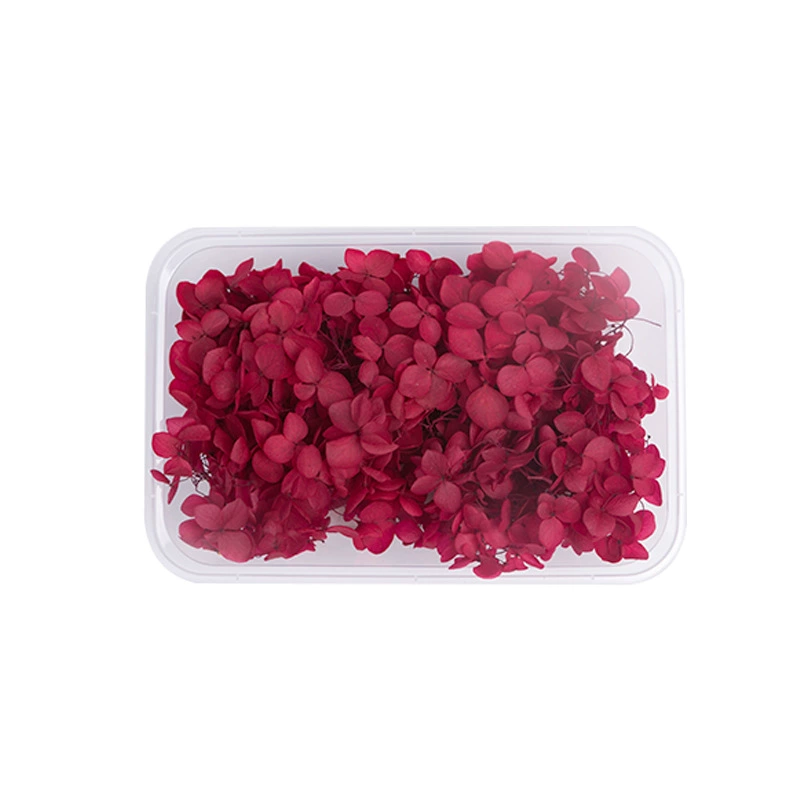 Вечный цветок Сухоцветная коробка Анна Гранди Hydrangea посыпанные лепестки цветов для лица свадьбы оформление Цветочный стиль