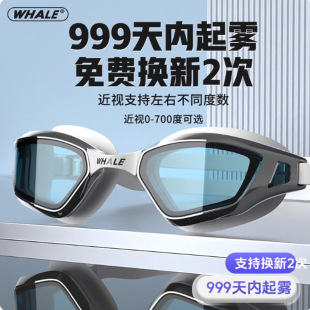 音标卡片