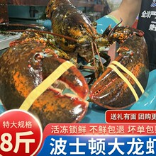 波士顿龙虾鲜活冷冻8斤大龙虾海鲜年货大礼包水产特大波龙澳龙虾