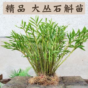 �Ĵ��A���B��ʯ�������Գ�ˮ���Oʯ�����FƤʯ��������ʯ���m